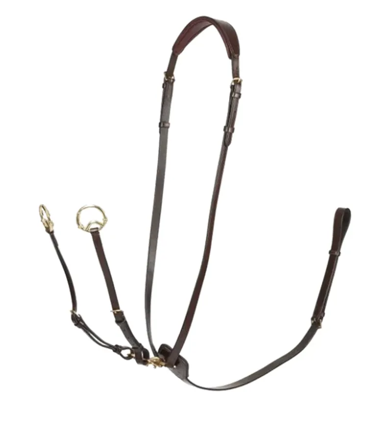 LeMieux Kudos Running Martingale Havana/Brass